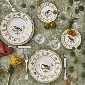 Prato sobremesa Impero Voliere Perroquet Nestor  Richard Ginori